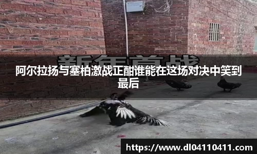 DB视讯